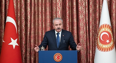Şentop: "TBMM'ye zarar verecek her şeyden kaçınmamız lazım"