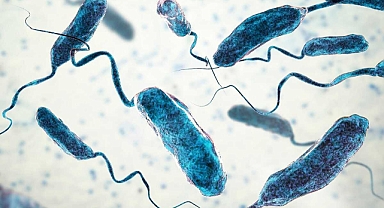 Yeni kabus: Kolera salgınında ölenlerin sayısı 121'e yükseldi