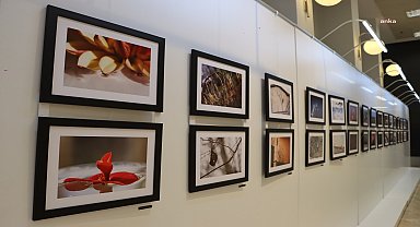 Anadolu Yakası fotoğrafçıları, Maltepe Belediyesi'nin ev sahipliğinde buluştu