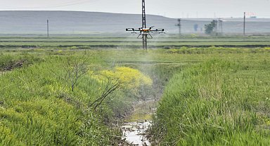 Ankara Büyükşehir Belediyesi'nden drone ile gübreleme ve ilaçlama hizmeti
