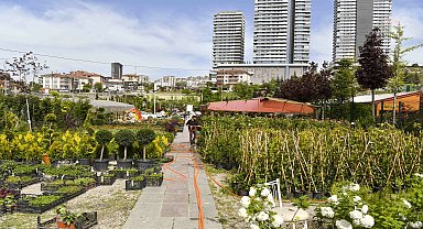 Ankara Büyükşehir Belediyesi'nden selde zarar gören yerel üreticiye destek