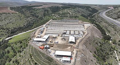 Ankara Büyükşehir Belediyesi'nden sokak hayvanlarına AB standartlarında merkez