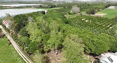 Antalya Büyükşehir Belediyesi Bilim Köyü'nde izciler, Kuş Halkalama Kampına katıldı