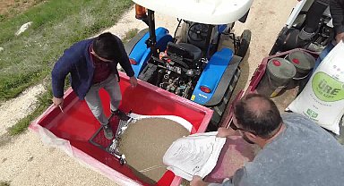 Antalya Büyükşehir, tohumluk olarak yetiştirdiği buğdayı çiftçiye hibe edecek