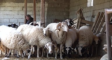 Aydın Büyükşehir Belediye Başkanı Çerçioğlu'ndan koyunları telef olan üretici kadına destek