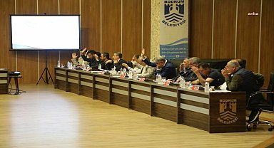 Bodrum Belediyesi'nden hayvan haklarını korumaya yönelik örnek karar