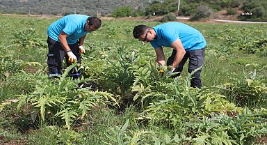 Bodrum Belediyesi, tarımsal kalkınma hedefiyle çalışmaya devam ediyor