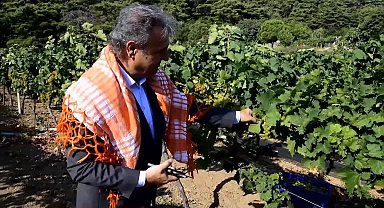 Bornova'da hedef 50 milyon atalık tohum