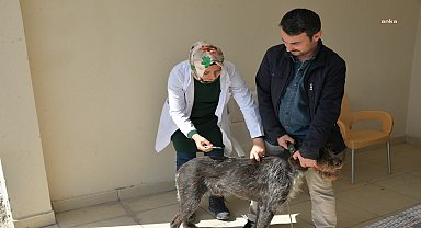 BOZÜYÜK BELEDİYESİ’NİN KUDUZ AŞISI KAMPANYASINDA 263 KEDİ VE KÖPEK AŞILANDI