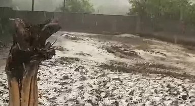 Buğday tarlasını dolu vuran Osmaniyeli çiftçi: "Bankaya 50 bin lira borcum var, ertelenmiş. Şimdi bir afet daha geldi. Bilmiyorum nasıl edeceğiz"