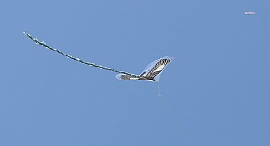 Dünya Göçmen Kuşlar Günü'nde Eskişehir'de 'Uçurtma Şenliği' düzenlendi