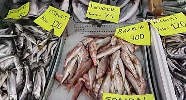 Düzce Akçakocalı Esnaf: "Balık fiyatları av yasağı geldiğinden bu yana kıymayla kafa kafaya yarışıyor"