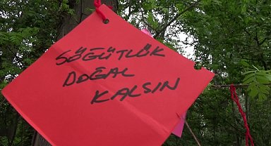 Edirne'de Hıdırellez dilekleri Söğütlük Ormanı'nın doğal kalması için asıldı