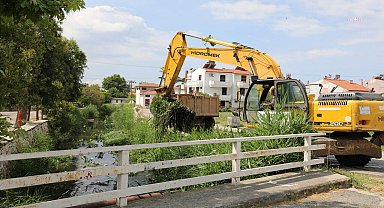 Edremit Belediyesi'nden Pina Deresi'nde temizlik çalışması 