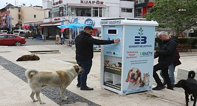 Edremit Belediyesi'nden sokak hayvanları için 'Mamamatik' projesi