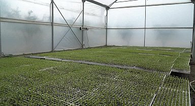 EFES SELÇUK BELEDİYESİ'NDEN DEPREM BÖLGESİNDE ÜRETİMİ FİLİZLENDİREN DAYANIŞMA