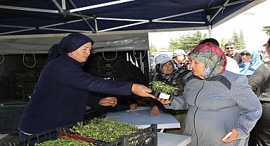 Eskişehir Büyükşehir Belediyesi Yerel Tohum Merkezi'nde üretilen sebze fideleri, Mihalıççık'ta vatandaşla buluştu