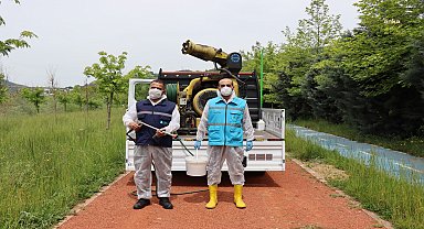 İzmit Belediyesi, larva ile mücadele çalışmalarına hız verdi