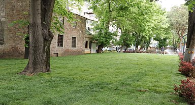 İzmit'teki Yeni Cuma Parkı'nda yeşil dönüşüm başladı