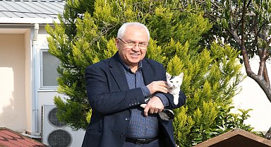 Karabağlar'da sahipsiz kedi kısırlaştırmada çevrim içi hizmet dönemi