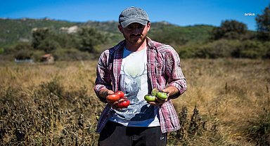 Karşıyaka'nın Yamanlar domatesi İzmir'in 17 ilçesine yayılıyor