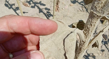 Kırklareli'nin Vize ilçesinde halk, bölgede açılmak istenen 4. Taş Ocağına Tepkili: "Biz, burada 4 tane taş ocağı istemiyoruz"