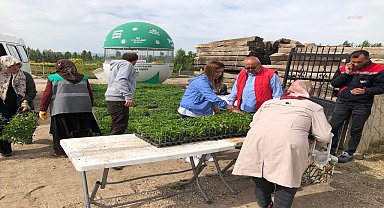 Kırşehir Belediyesi, 501 bin fideyi yerli üretici ile buluşturdu