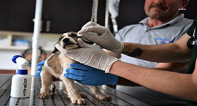 Konyaaltı Belediyesi Sivil Savunma Birimi, can dostların yanında