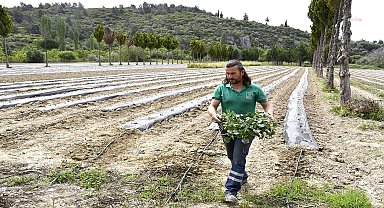 Kuşadası Belediyesi'nin Adabahçe'si yaza hazırlanıyor