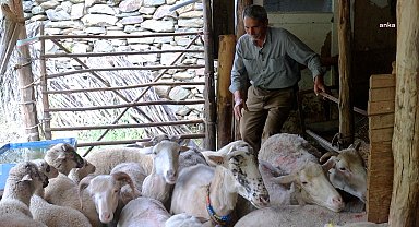 Merkezefendi Belediyesi, kadın üreticinin yanında