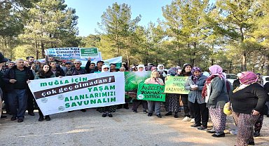 Muğla'da yapımı süren çimento fabrikasına karşı açılan davada bilirkişi raporu açıklandı: "Tarımsal açıdan uygun değil"