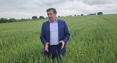 Okan Gaytancıoğlu: 