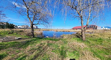 Ordu Çevre Derneği, Durugöl'de yapılmak istenen imar değişikliğine itiraz etti