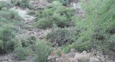 Osmaniye'de vatandaşlar kum ocağı yapımı ve ağaç kesimine tepki gösterdi: "Sandıkları boş göndereceğiz"