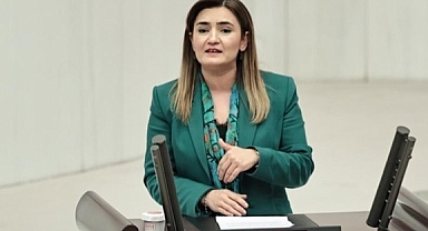 Sevda Erdan Kılıç: 