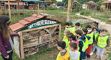 Tepebaşı Belediyesi'nin Yeryüzü Ekoloji Okulu haziran atölyeleri başlıyor