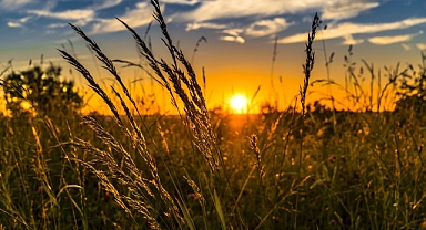 TÜİK: 12 aylık ortalamalara göre üretici fiyatlarındaki enflasyon 134,06 oldu