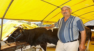 Yenimahalle'de Kurban Bayramı hazırlıkları başladı