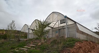 YOZGAT’TA BAĞCILIĞIN GELİŞTİRİLMESİ AMACIYLA İLK DEFA YEREL ÇEŞİTLERLE KOLEKSİYON PARSELİ KURULUYOR