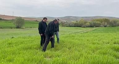 Yozgat Ziraat Odası Başkanı Açıkgöz'den çiftçilere 'Pas' uyarısı: Ekili alanlara ilaçlama yapılarak vitamin desteğinde bulunulmalı