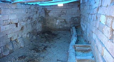 Aksaray'da yaşlı çiftin 280 bin lira değerindeki 4 büyükbaş hayvanı çalındı