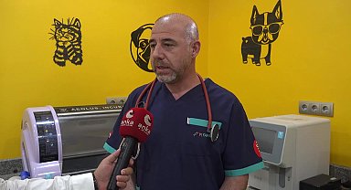 Aksaray Veteriner Hekimler Odası Başkanı Yıldız: "Çip uygulaması insan sağlığı açısından çok önemli"