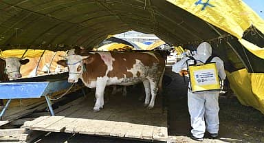 Ankara Büyükşehir'den kurban satış ve kesim alanlarında ilaçlama seferberliği