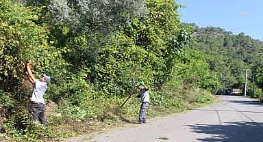 Antalya Büyükşehir ekipleri, Kemer Çıralı'da temizlik çalışması yaptı 
