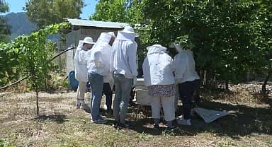 Antalya Büyükşehir kursiyerleri kovan başında arıcılık eğitimi aldı 
