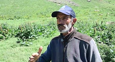 Artvin Ardanuç'ta, 2 Bin 400 rakımlı Zekeriya Köy Yaylasında köylü Güner: "Makine kullanmayız, her şeyimiz doğal"