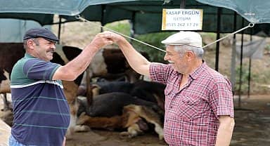 Bayraklı Belediyesi Kurban Bayramı'na hazır