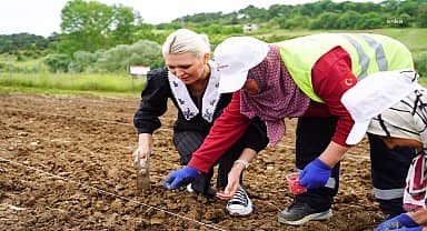 Bilecik Belediyesi arazisine kabak tohumu ekildi 