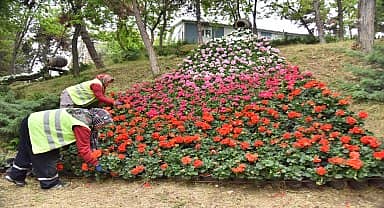 Bilecik Belediyesi Park ve Bahçeler Müdürlüğü'nden kent genelinde peyzaj çalışması 