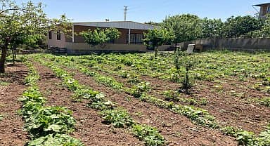 Bornova Belediyesi'nden tohumdan tezgâha tarımsal destek